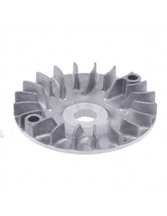 Puleggia motrice fissa...