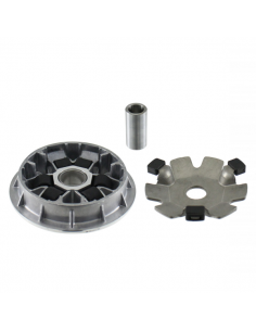 Semipuleggia motrice mobile...