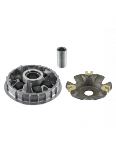 Semipuleggia motrice mobile...