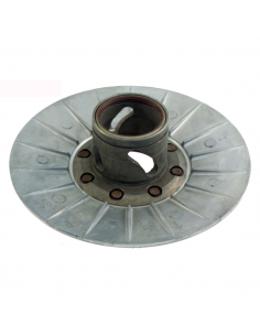 Semipuleggia condotta...