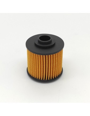 FILTRO OLIO YAMAHA TDM 850 91-01...