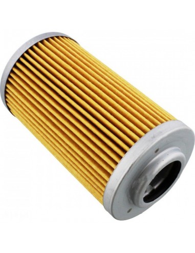 FILTRO OLIO APRILIA CAPONORD1000