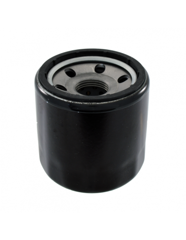 Filtro olio Nypso Benelli 900