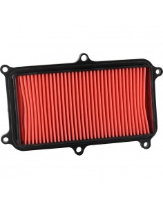 Filtro aria Champion CAF4016 2