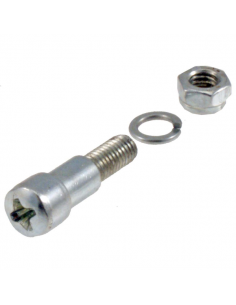 Confezione 50 pezzi Vite...