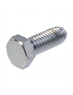 Vite zincata testa...