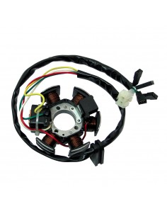 Statore Motori MINARELLI...