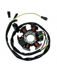 Statore Motore MINARELLI...