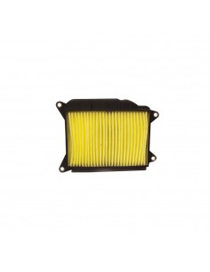 Filtro Aria (Variatore)...