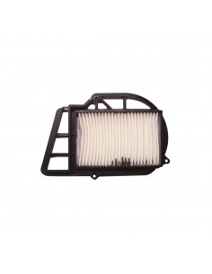 Filtro Aria (Variatore)...