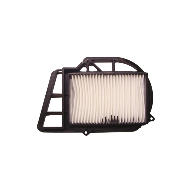Filtro Aria (Variatore) MALAGUTI/MBK...