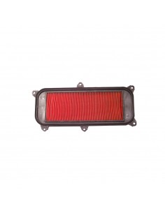 Filtro Aria KYMCO GRAN DINK...