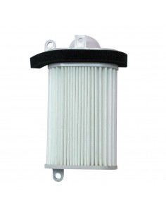 Filtro Aria (Variatore)...