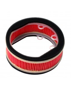 Filtro Aria (Variatore)...
