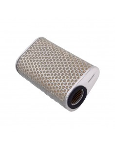 Filtro Aria HONDA HORNET...