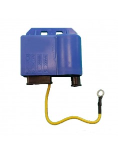 Centralina Elettronica...