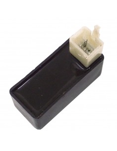 Centralina Elettronica...