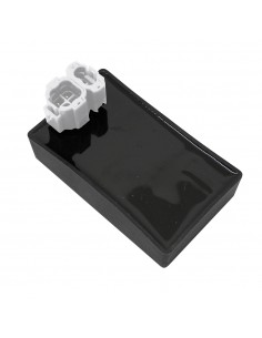 Centralina Elettronica...