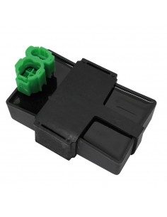 Centralina Elettronica...