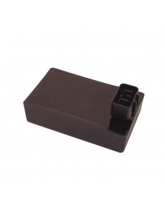 Centralina Elettronica...