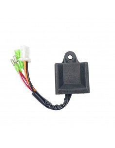 Centralina Elettronica...