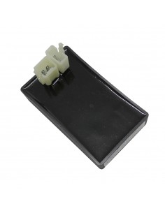 Centralina Elettronica...