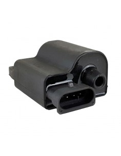 Centralina Elettronica...