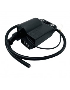 Centralina Elettronica...