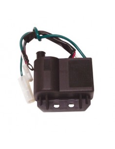 Centralina Elettronica...