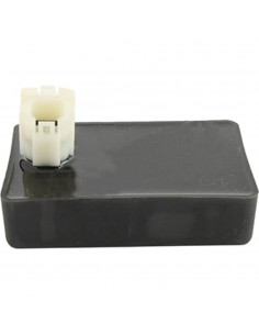 Centralina Elettronica...