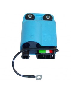 Centralina Elettronica...