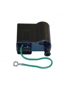 Centralina Elettronica...