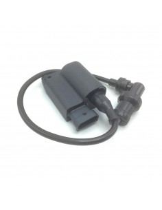 Centralina Elettronica...