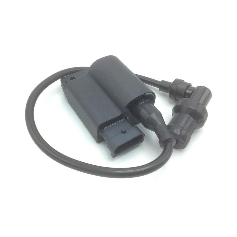 Centralina Elettronica Accensione...