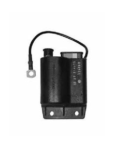 Centralina Elettronica...