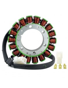 STATORE TRIUMPH DAYTONA...