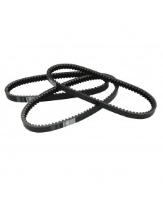 Cinghia Pompa Olio...