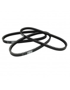 Cinghia Variatore...