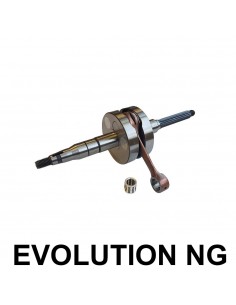 Albero Motore Racing...