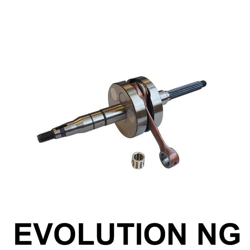 Albero Motore Racing MINARELLI...