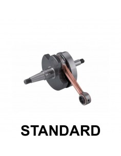 Albero Motore PIAGGIO...