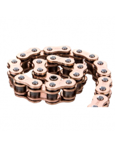 Catena trasmissione moto...