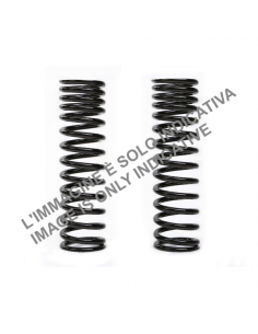 Coppia molle ammortizzatore...