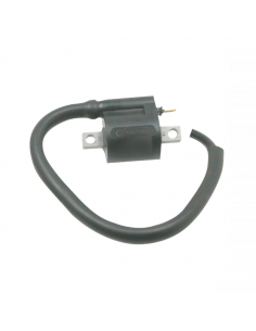 Bobina Mbk/Yamaha 50cc...