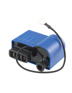 Centralina Elettronica...