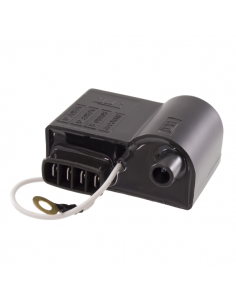 Centralina elettronica...