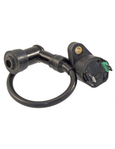 Bobina Peugeot Ludix 50-100