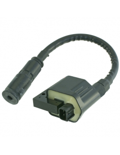 Bobina Kymco Dink eu3 200cc...