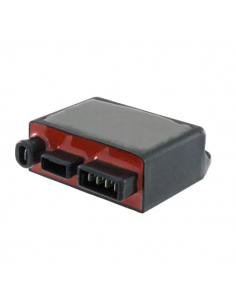 Centralina elettronica...