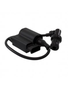 Centralina Elettrica...